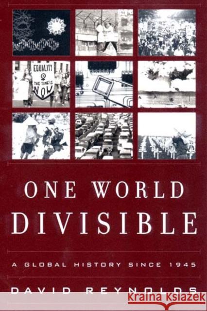 One World Divisible David Reynolds 9780393321081 W. W. Norton & Company