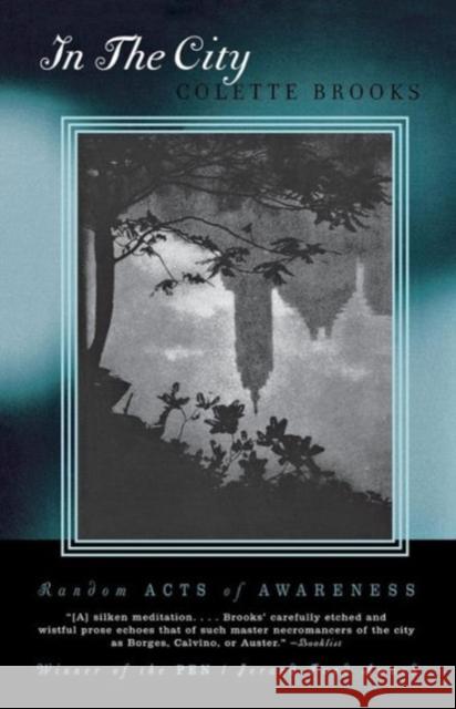 In the City: Random Acts of Awareness Brooks, Colette 9780393324419 W. W. Norton & Company