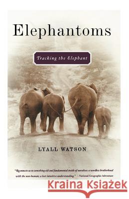 Elephantoms: Tracking the Elephant Watson, Lyall 9780393324594