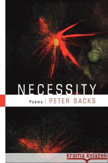 Necessity Sacks, Peter 9780393325041 W. W. Norton & Company