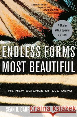 Endless Forms Most Beautiful: The New Science of Evo Devo Carroll, Sean B. 9780393327793 W. W. Norton & Company