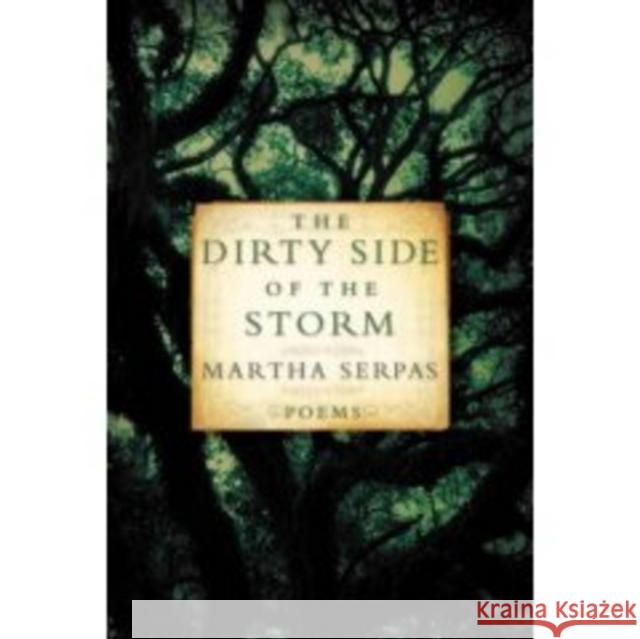 Dirty Side of the Storm Serpas, Martha 9780393331431