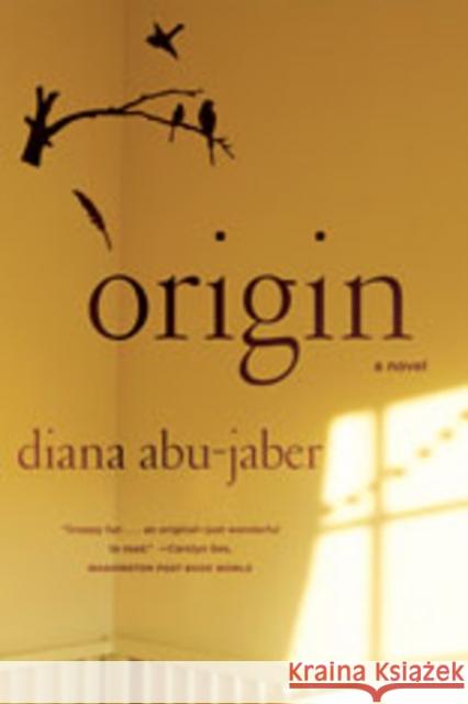 Origin Diana Abu-Jaber 9780393331554 W. W. Norton & Company