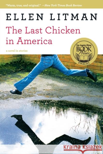 Last Chicken in America: A Novel in Stories Litman, Ellen 9780393333572