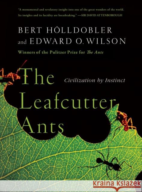 The Leafcutter Ants: Civilization by Instinct Hölldobler, Bert 9780393338683 W. W. Norton & Company
