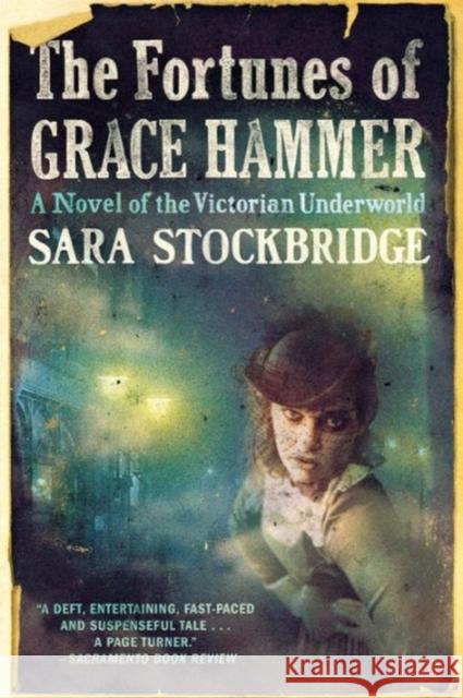Fortunes of Grace Hammer: A Novel of the Victorian Underworld Stockbridge, Sara 9780393339079