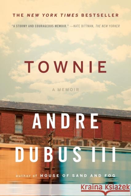 Townie: A Memoir Dubus, Andre 9780393340679