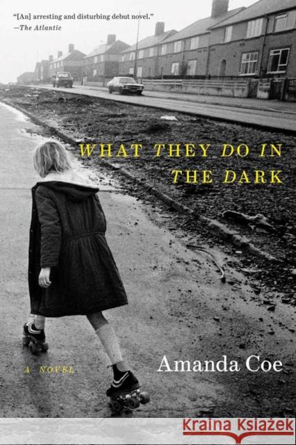 What They Do in the Dark Coe, Amanda 9780393343915