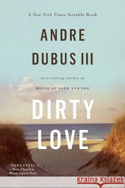 Dirty Love Dubus Iii, Andre 9780393348910