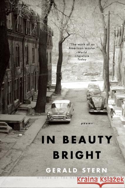 In Beauty Bright: Poems Stern, Gerald 9780393348941 John Wiley & Sons