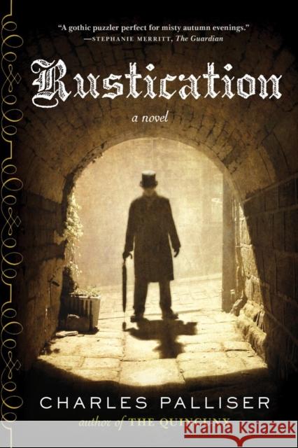 Rustication: A Novel Charles Palliser 9780393349818