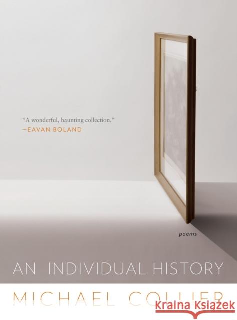 An Individual History Collier, Michael 9780393350319