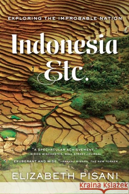 Indonesia Etc.: Exploring the Improbable Nation Pisani, Elizabeth 9780393351279 John Wiley & Sons
