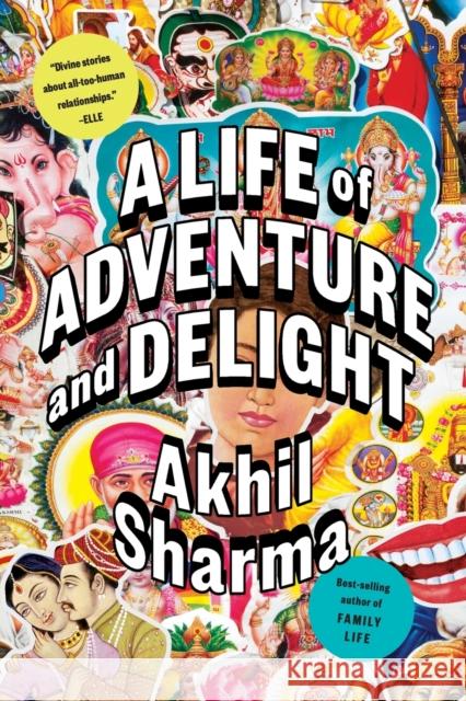 A Life of Adventure and Delight Akhil Sharma 9780393355895