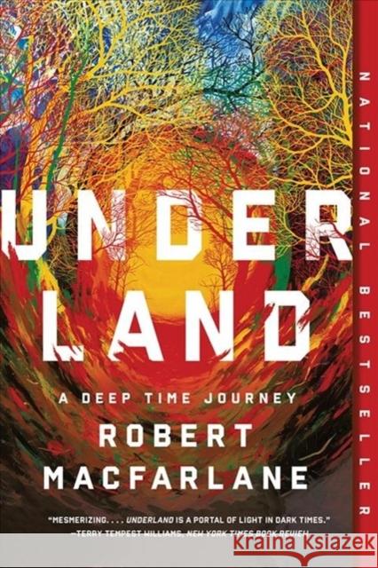Underland: A Deep Time Journey Robert MacFarlane 9780393358094