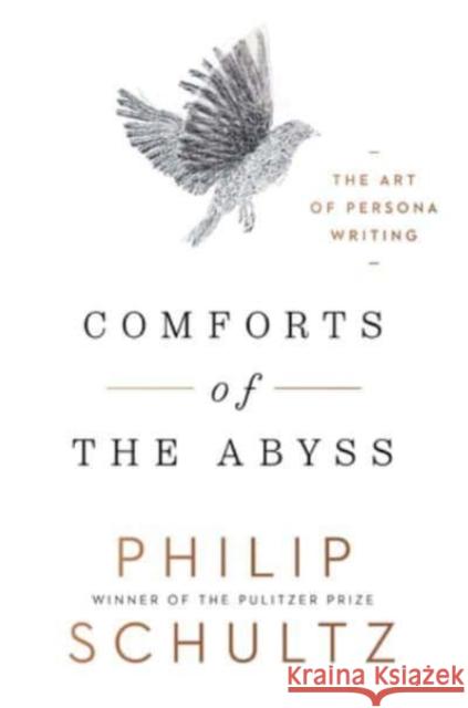 Comforts of the Abyss: The Art of Persona Writing Philip Schultz 9780393531848 W. W. Norton & Company