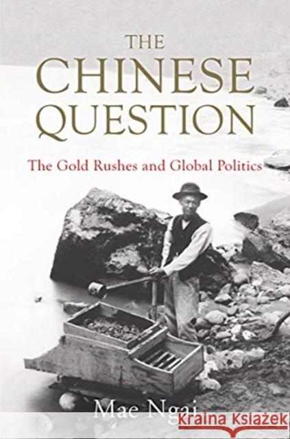 The Chinese Question: The Gold Rushes and Global Politics Mae Ngai 9780393634167