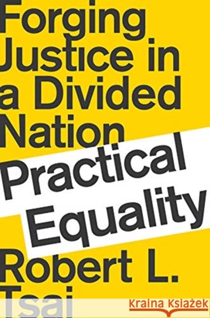 Practical Equality: Forging Justice in a Divided Nation Robert Tsai 9780393652024