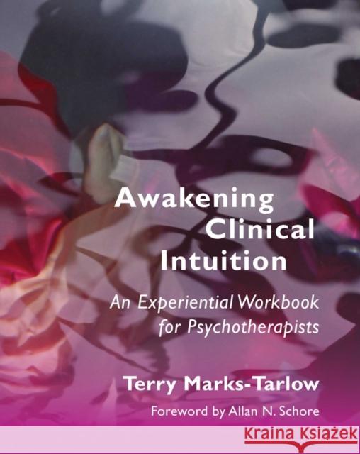 Awakening Clinical Intuition: An Experiential Workbook for Psychotherapists Marks-Tarlow, Terry 9780393708684