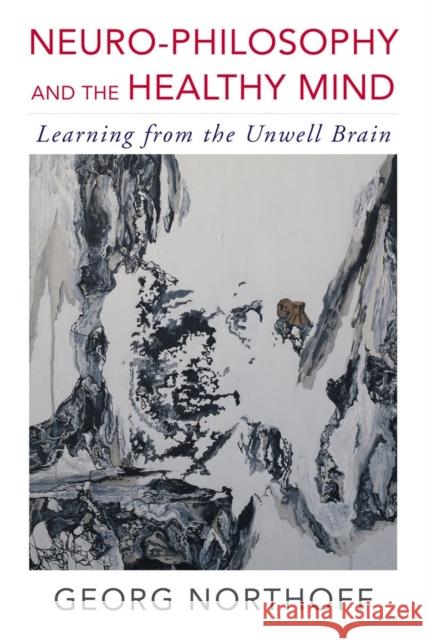 Neuro-Philosophy and the Healthy Mind: Learning from the Unwell Brain Northoff, Georg 9780393709384