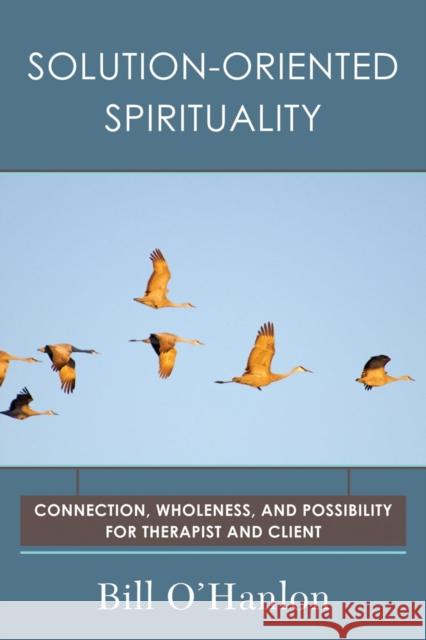 Solution-Oriented Spirituality: Connection, Wholeness, and Possibility for Therapist and Client Bill O'Hanlon 9780393710625