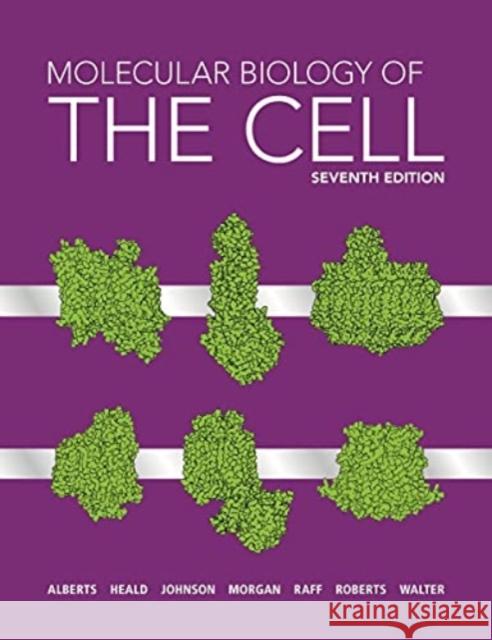 Molecular Biology of the Cell Bruce Alberts, Rebecca Heald, Alexander Johnson 9780393884821
