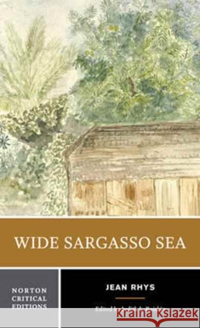 Wide Sargasso Sea: Backgrounds, Criticism Rhys, Jean 9780393960129