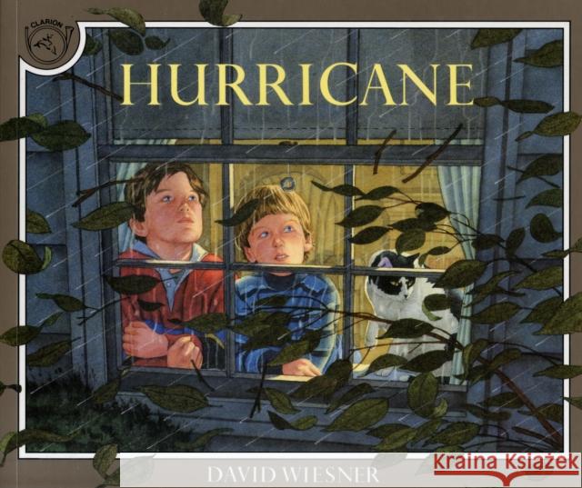 Hurricane David Wiesner 9780395629741 Clarion Books