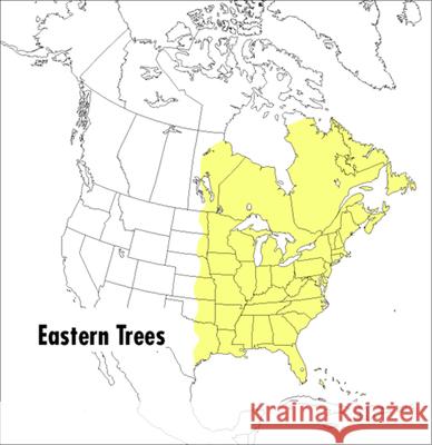 A Peterson Field Guide to Eastern Trees: Eastern United States and Canada, Including the Midwest Wehr, Janet 9780395904558 Houghton Mifflin Company