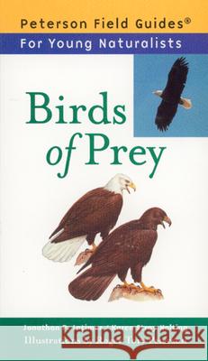Birds of Prey Jonathan P. Latimer Karen Stray Nolting Roger Tory Peterson 9780395922774 