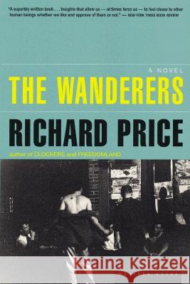 The Wanderers Richard Price R. Price 9780395977743 Mariner Books