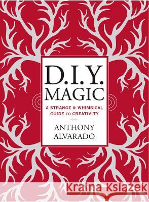 D.I.Y. Magic: A Strange and Whimsical Guide to Creativity Alvarado, Anthony 9780399171796 Perigee Books