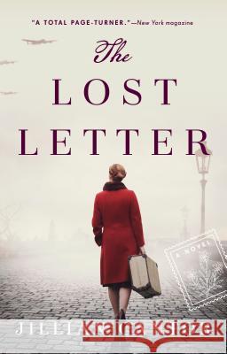 The Lost Letter Jillian Cantor 9780399185687 Riverhead Books