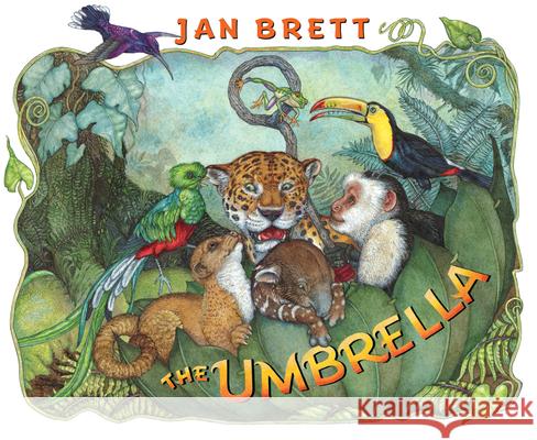 The Umbrella Jan Brett Jan Brett 9780399242151 Putnam Publishing Group