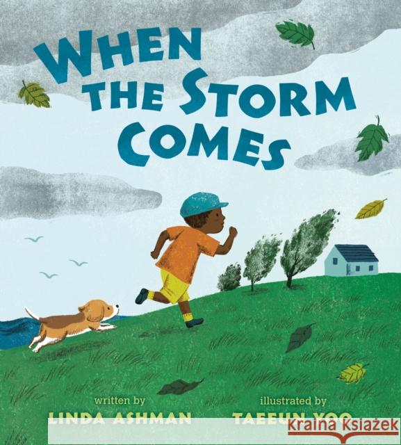 When the Storm Comes Linda Ashman Taeeun Yoo 9780399546099