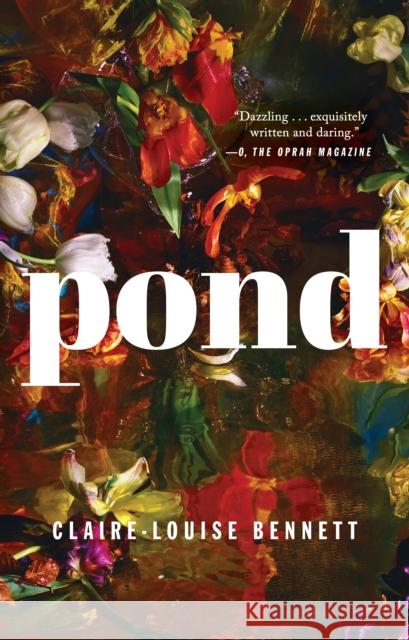 Pond Claire-Louise Bennett 9780399575907 Riverhead Books