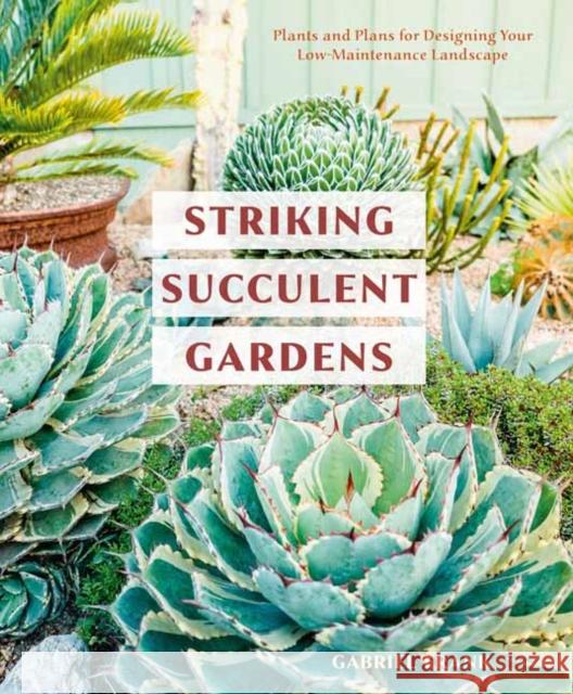 Striking Succulent Gardens: Plants and Plans for Designing Your Low-Maintenance Landscape Frank, Gabriel 9780399580987 Ten Speed Press