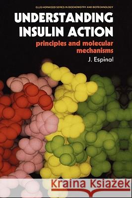 Understanding Insulin Action: Principles and Molecular Mechanisms Espinal, J. 9780412022616 Springer