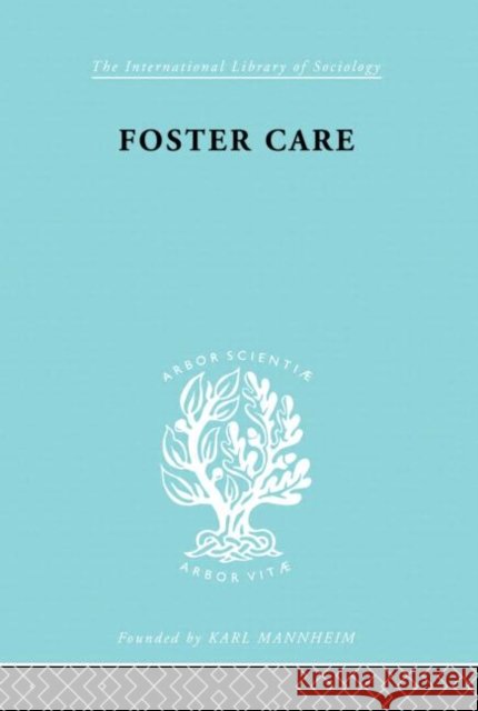 Foster Care: Theory & Practice Victor George 9780415176491