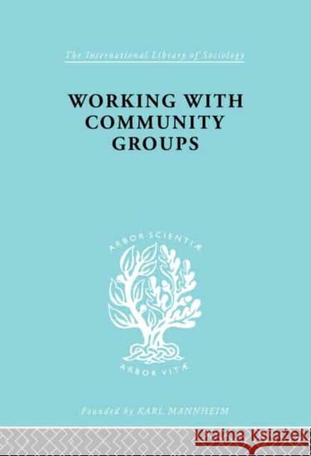 Working Comm Groups    Ils 198 George W. Goetschius 9780415177306