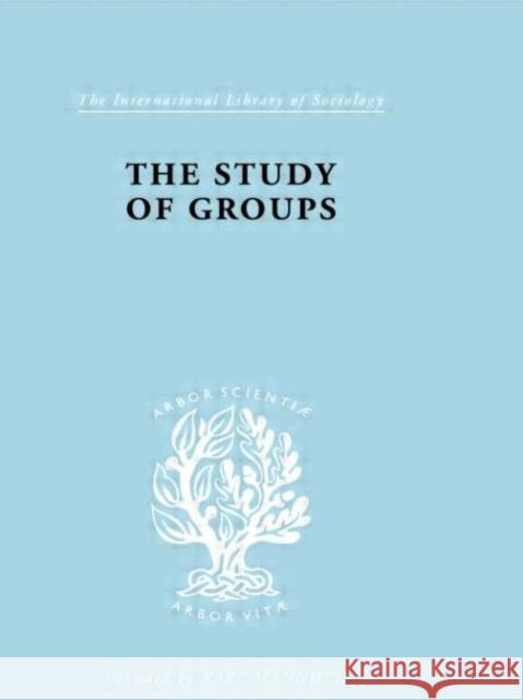 The Study of Groups J. Klein Klein Josephine 9780415177986