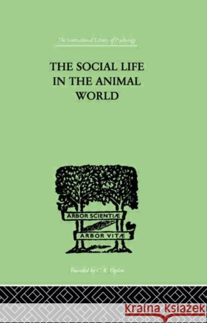 The Social Life In The Animal World F. Alverdes Fr Alverdes 9780415209786