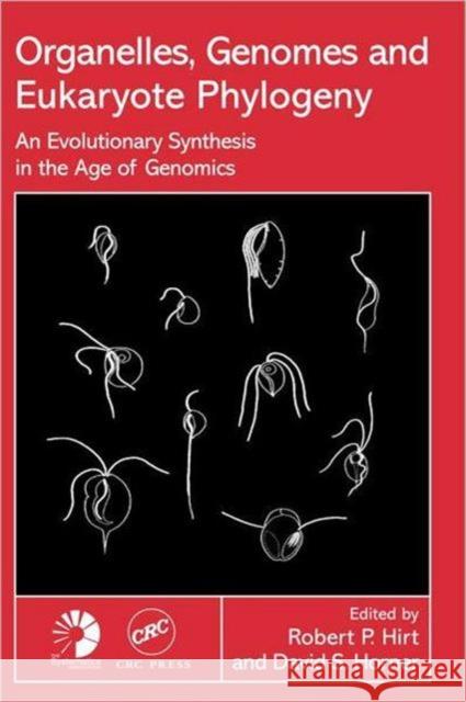 Organelles, Genomes and Eukaryote Phylogeny: An Evolutionary Synthesis in the Age of Genomics Hirt, Robert P. 9780415299046