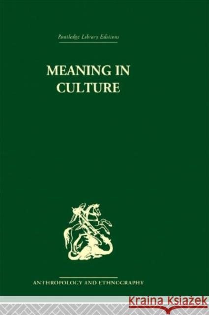 Meaning in Culture F. Allan Hanson Allan Hanso 9780415330312 Routledge