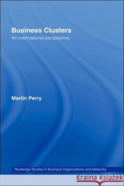 Business Clusters: An International Perspective Perry, Martin 9780415339629
