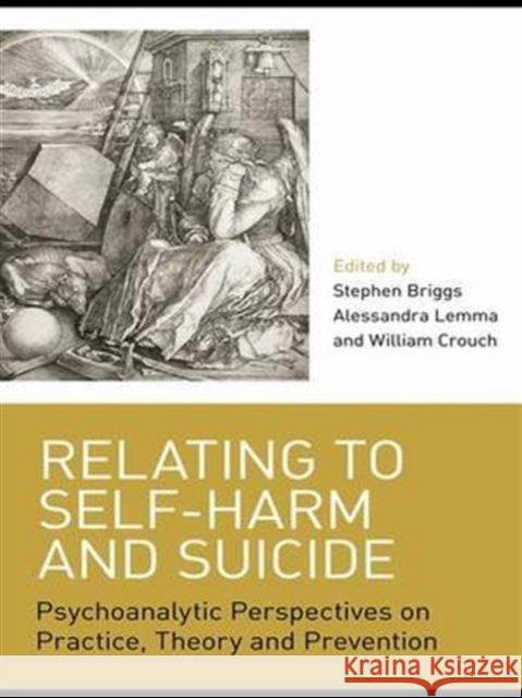 Relating to Self-Harm and Suicide: Psychoanalytic Perspectives on Practice, Theory and Prevention Briggs, Stephen 9780415422567 Routledge
