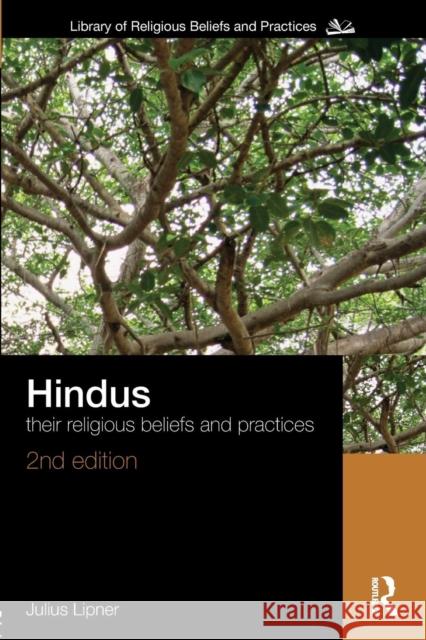 Hindus: Their Religious Beliefs and Practices Lipner, Julius 9780415456777