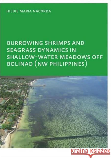 Burrowing Shrimps and Seagrass Dynamics in Shallow-Water Meadows off Bolinao (New Philippines) : UNESCO-IHE PhD Maria E. Nacord 9780415484022 CRC Press