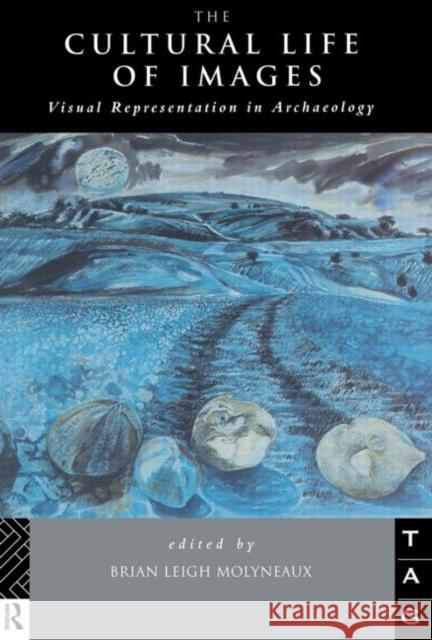 The Cultural Life of Images: Visual Representation in Archaeology Molyneaux, Brian Leigh 9780415513449