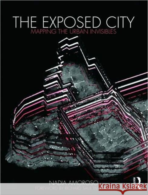 The Exposed City: Mapping the Urban Invisibles Amoroso, Nadia 9780415551809 0